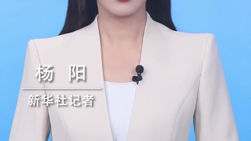 数据可视化报表制作：企业决策的“透明窗口